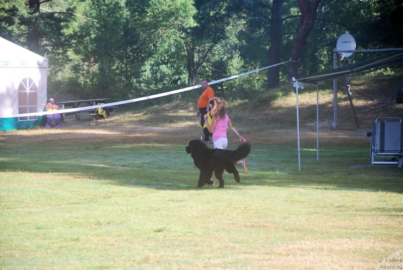 Фотография № 132903