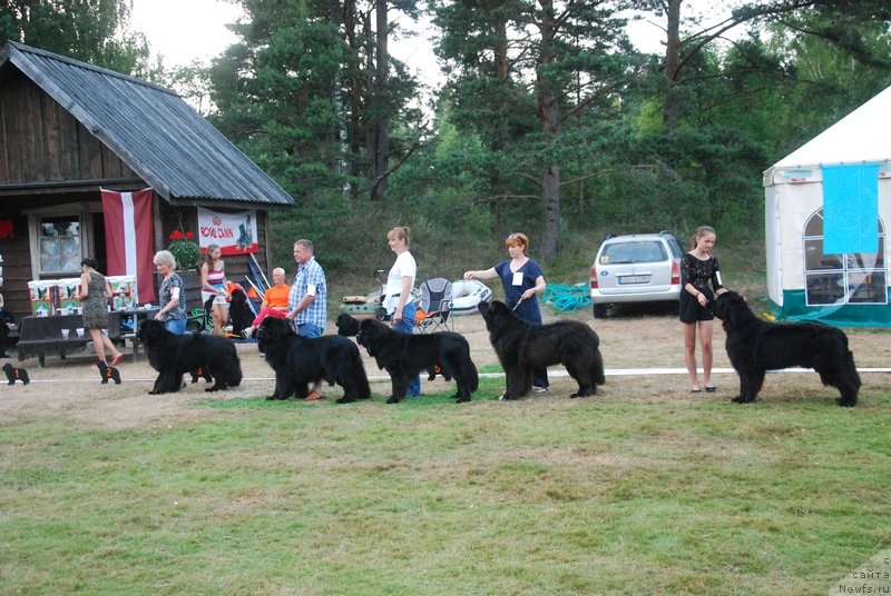 Фотография № 132905