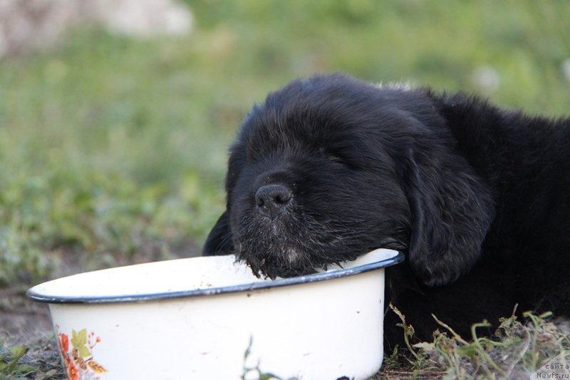 Фотография № 132962