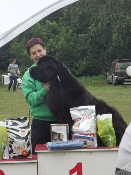 Фотография № 133011