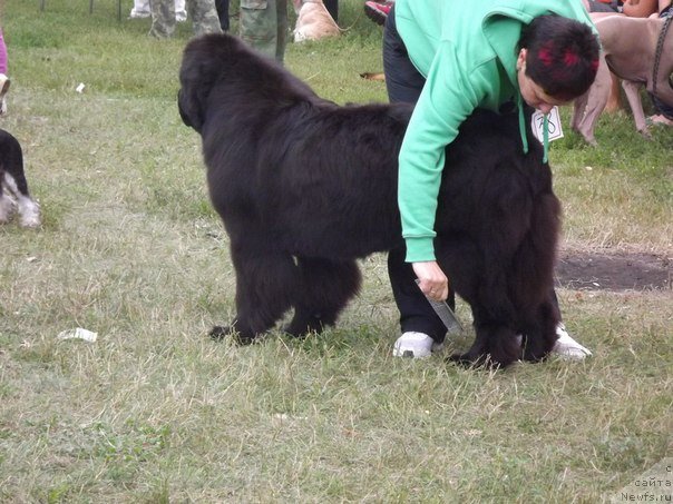 Фотография № 133012