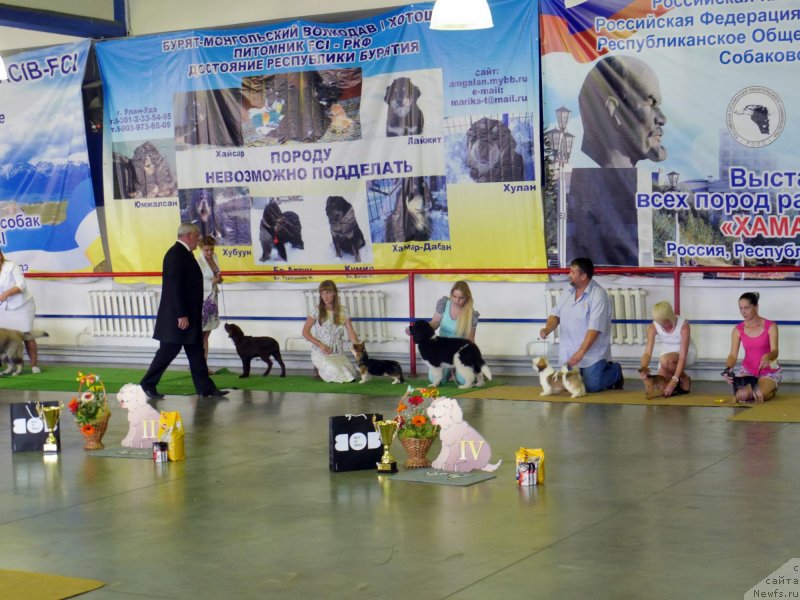 Фотография № 133020