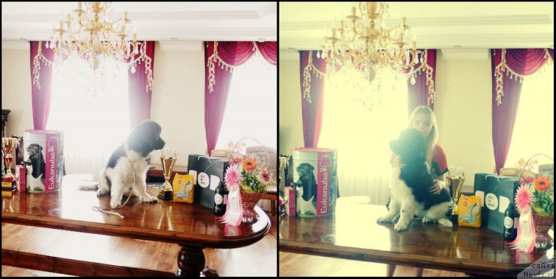 Фотография № 133022