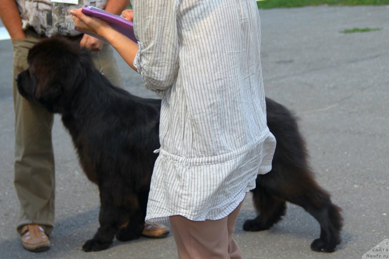 Фотография № 133062