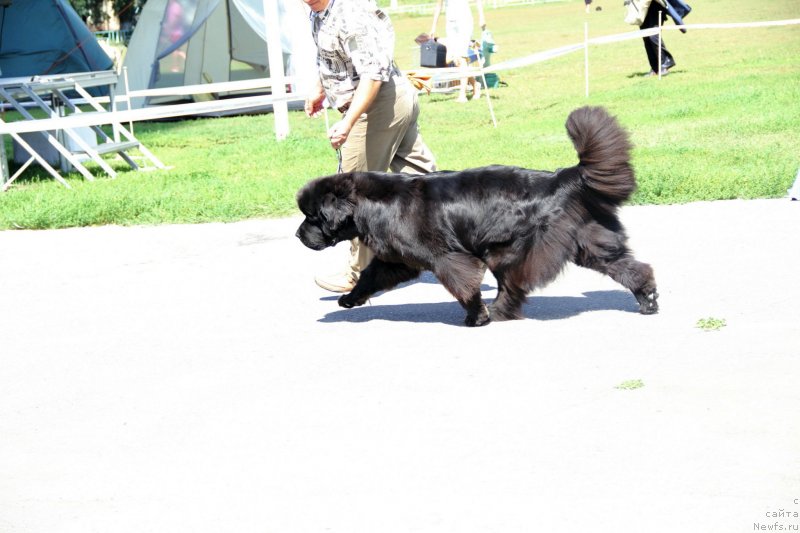 Фотография № 133071