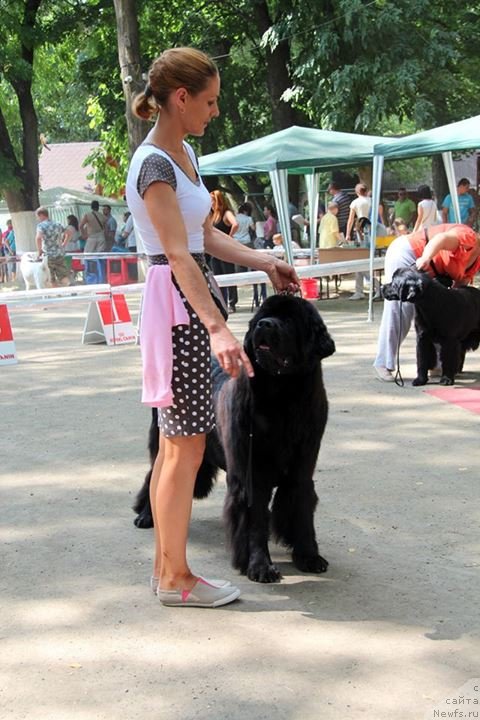 Фотография № 133112