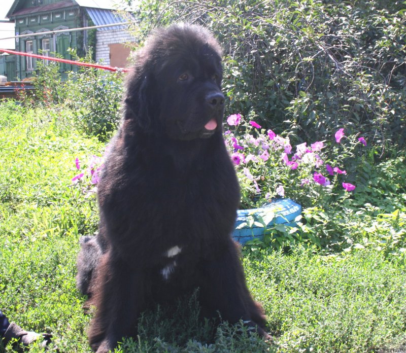 Фотография № 133118