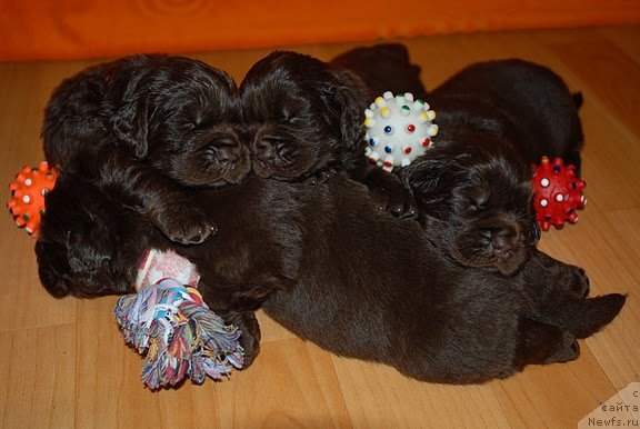 Фотография № 133126