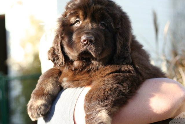 Фотография № 133128