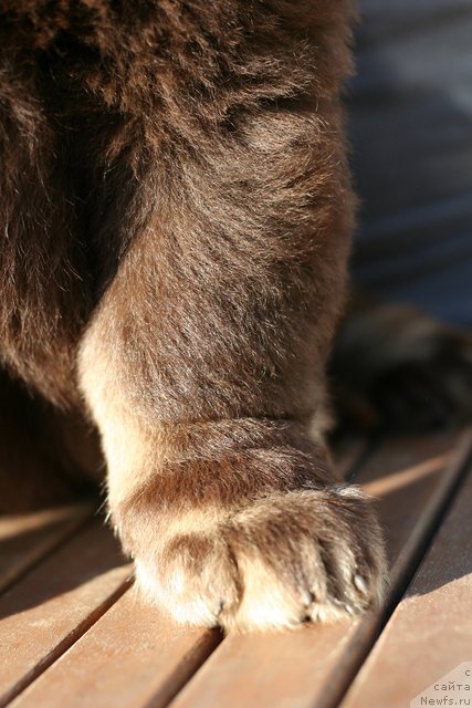 Фотография № 133129