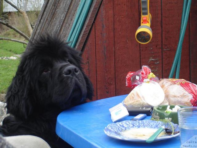 Фотография № 13313