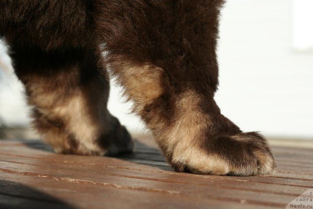 Фотография № 133131