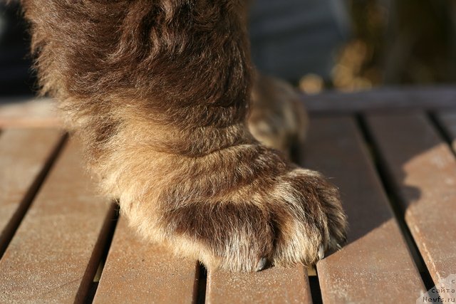 Фотография № 133133