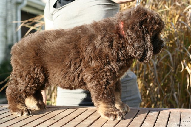 Фотография № 133135