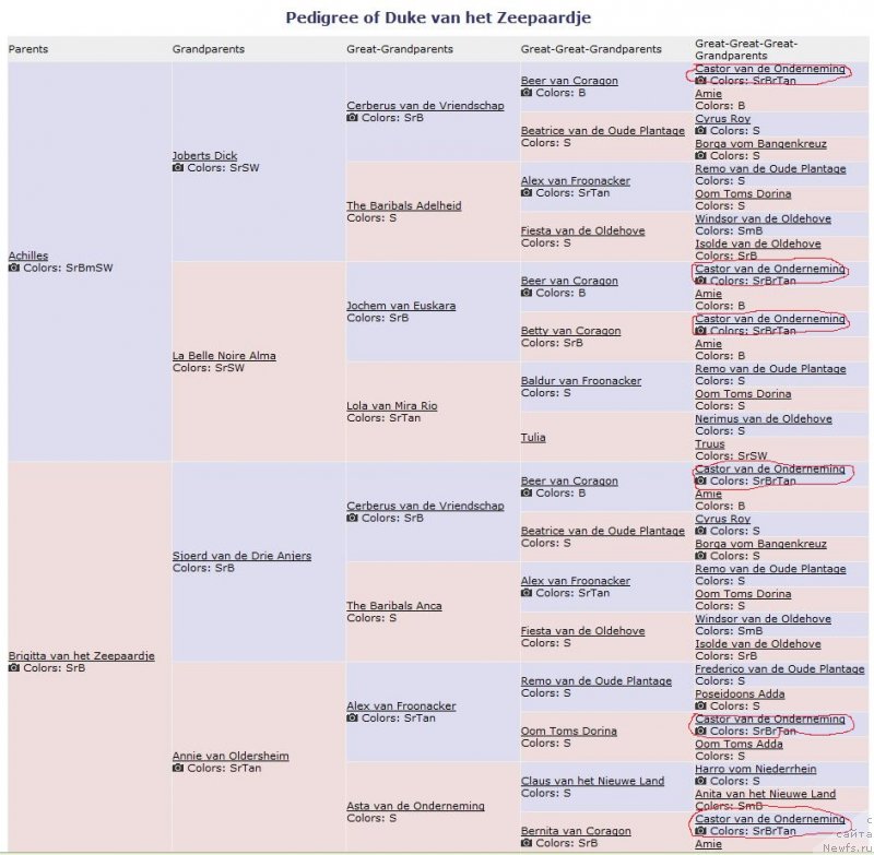 Фотография № 133138