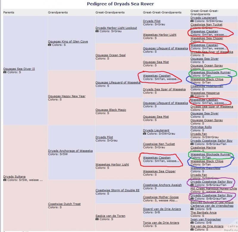 Фотография № 133139