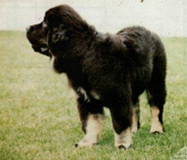 Фотография № 133140