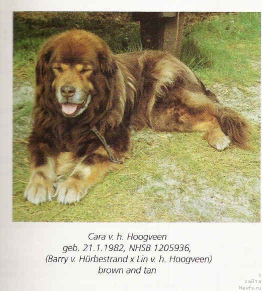 Фотография № 133142