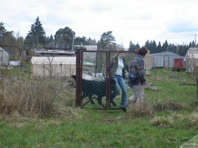 Фотография № 13316