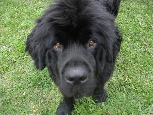 Фотография № 13317