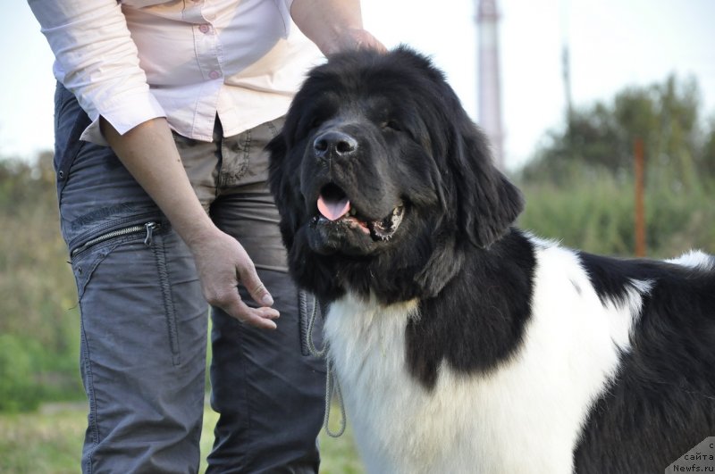 Фотография № 133375