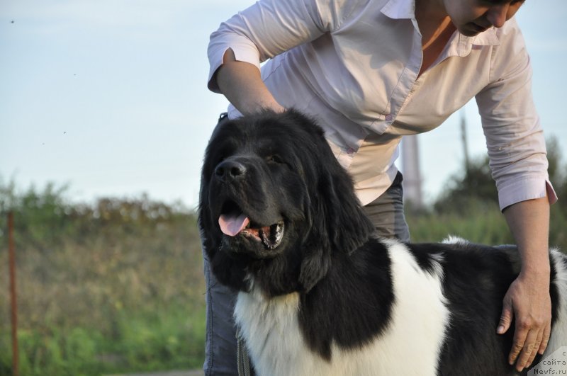 Фотография № 133376