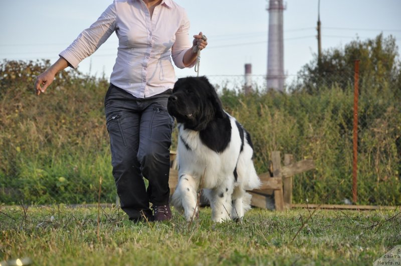 Фотография № 133379