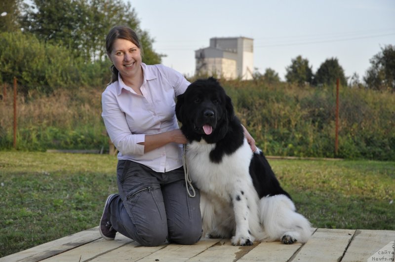 Фотография № 133383