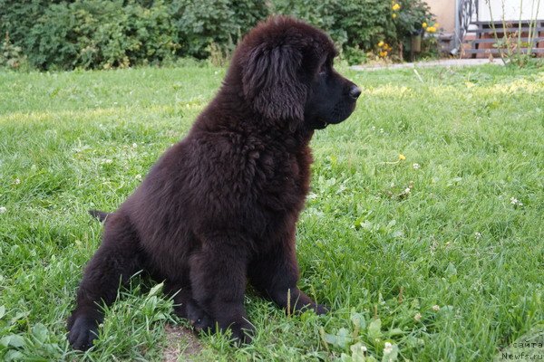 Фотография № 133396