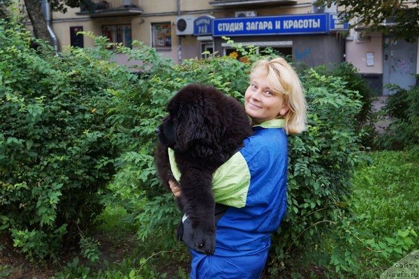 Фотография № 133397