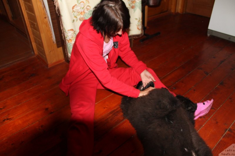 Фотография № 133419