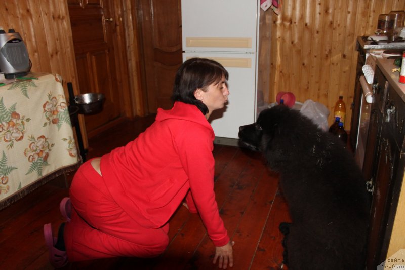 Фото: [d12421] Ирина