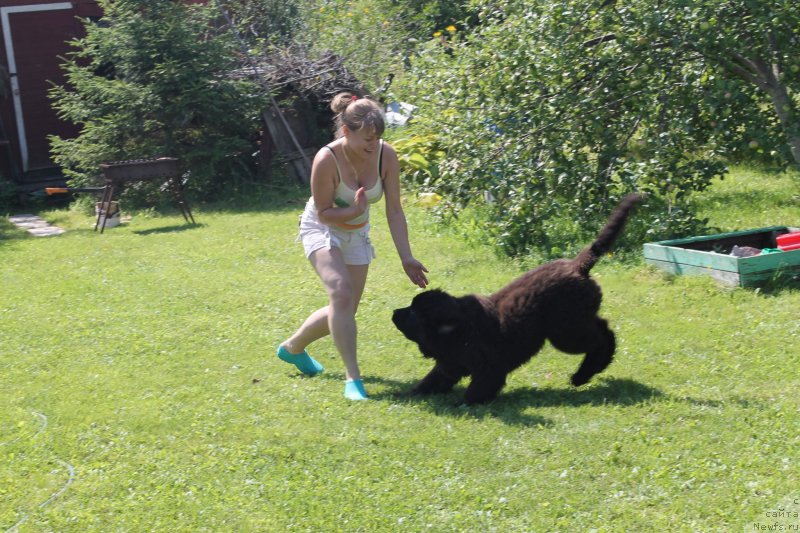 Фотография № 133422