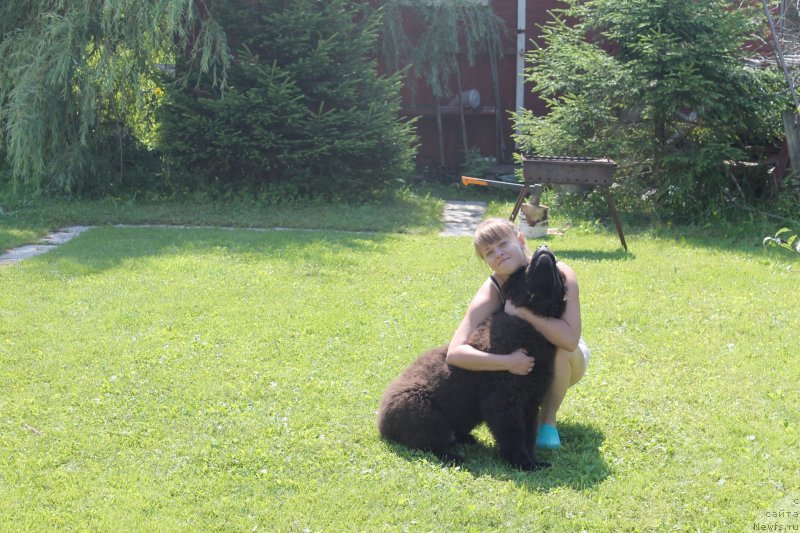 Фотография № 133424