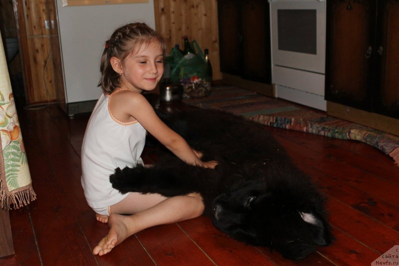 Фотография № 133428