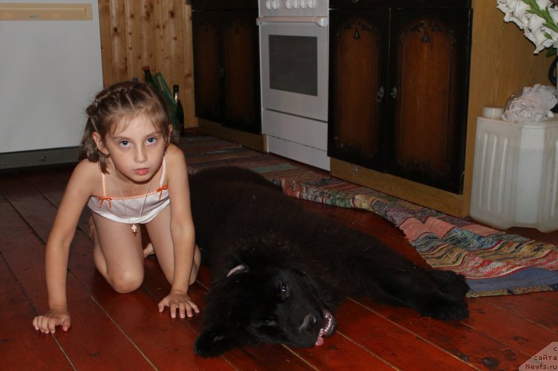 Фотография № 133429