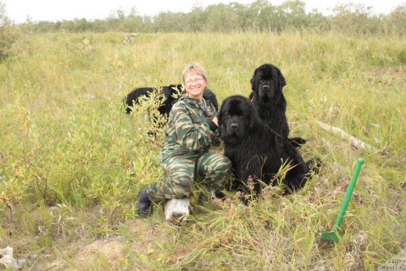 Фото: Elena Kuz'mina (Елена Кузьмина), ньюфаундленд YAntarnaya Mechta (Янтарная Мечта), ньюфаундленд Fortuna of Giant's Island