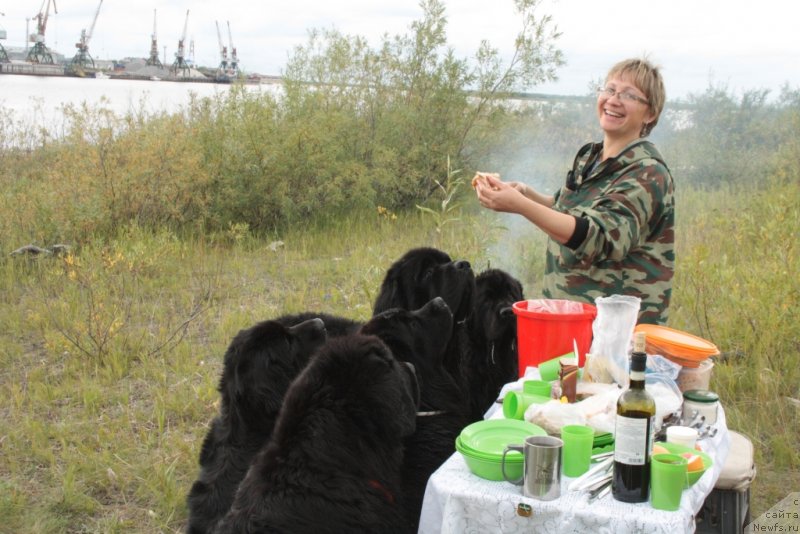 Фото: Elena Kuz'mina (Елена Кузьмина), ньюфаундленд Gloriya Grand Blek (Глория Гранд Блек), ньюфаундленд Neretum Tribe Xagrid, ньюфаундленд YAntarnaya Mechta (Янтарная Мечта), ньюфаундленд Beguschaya po Volnam Zero Kool (Бегущая по Волнам Зеро Коол), ньюфаундленд Fortuna of Giant's Island