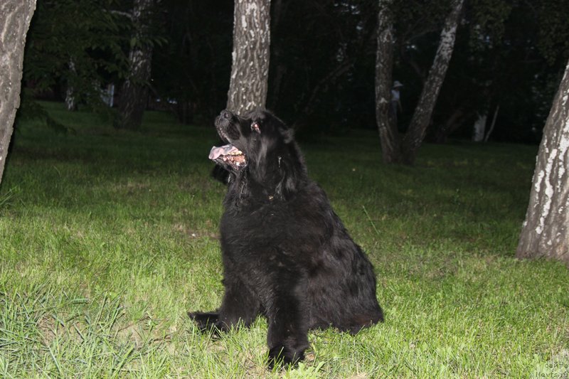 Фотография № 133446