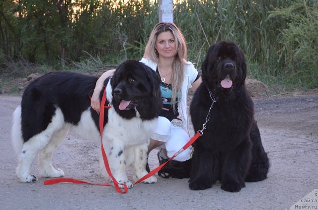 Фотография № 133475