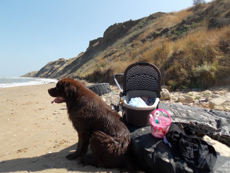 Фотография № 133488