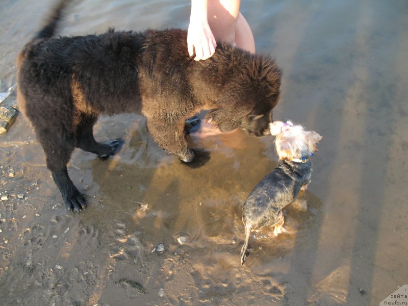 Фотография № 133493