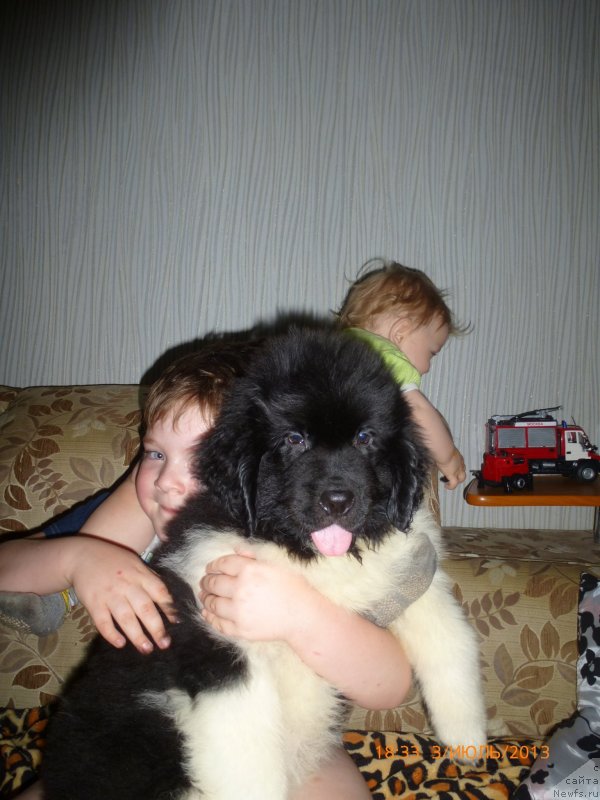 Фотография № 133534