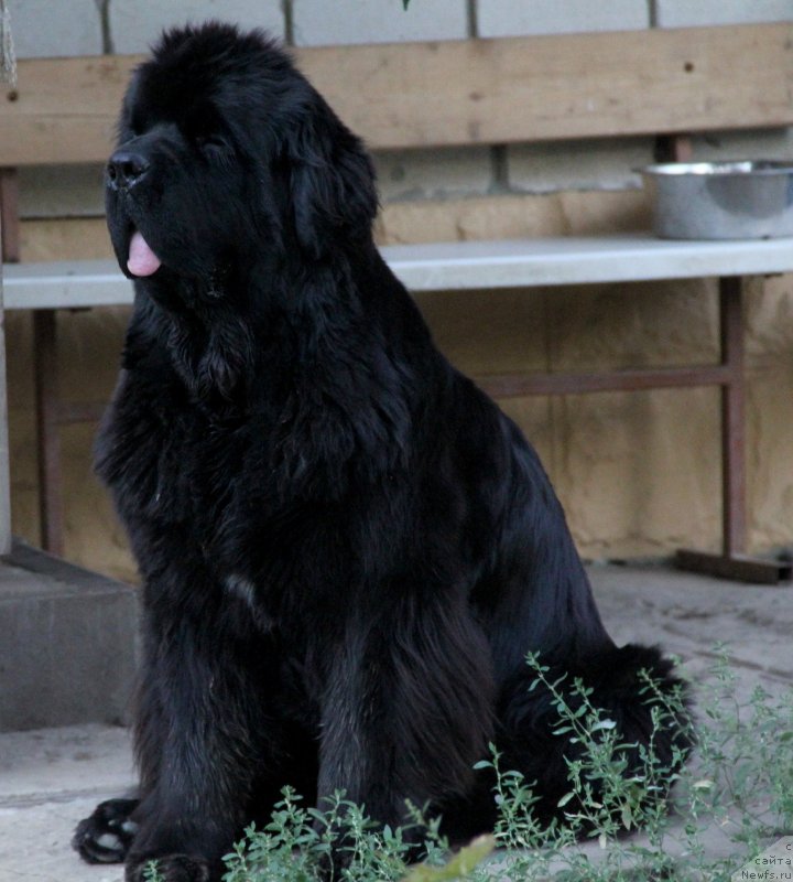 Фотография № 133544