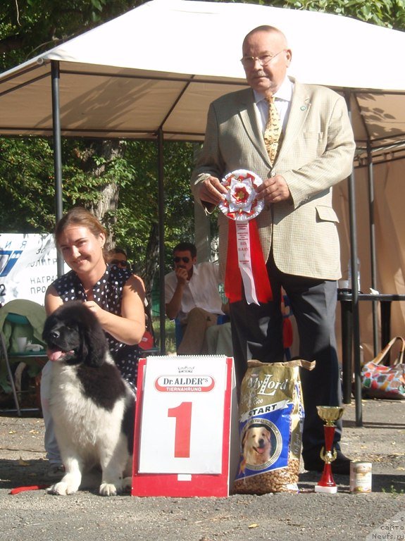 Фотография № 133547