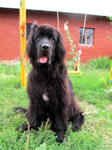 Фотография № 133559