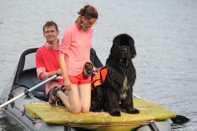 Фотография № 133591