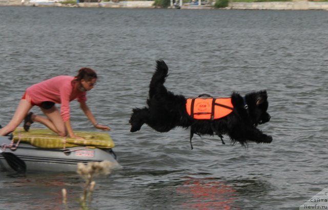 Фотография № 133592