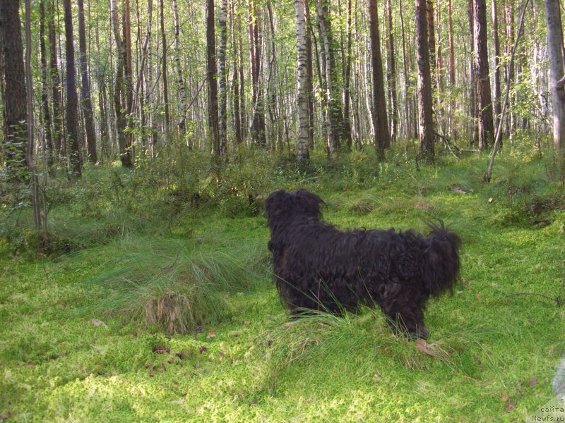 Фотография № 133604