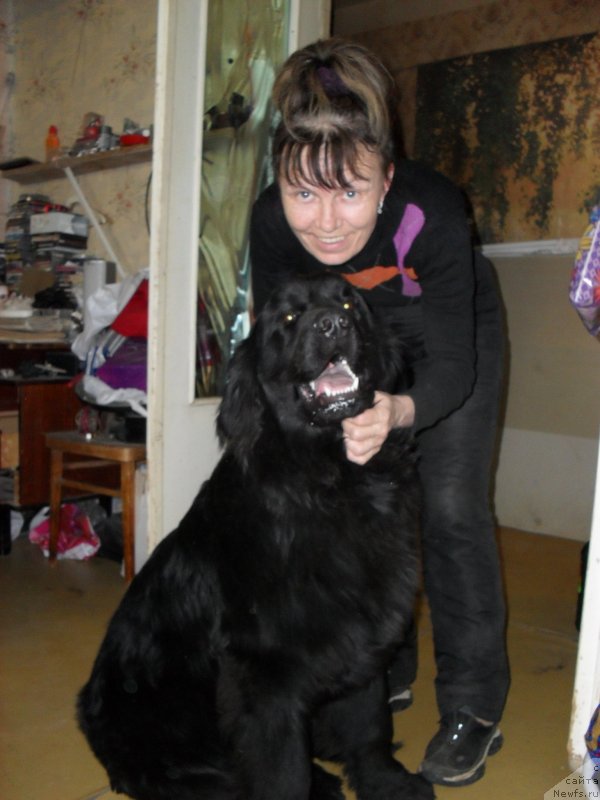 Фото: Larisa Petrakova (Лариса Петракова)